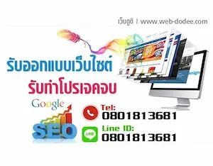 รับทำเว็บไซต์ ออกแบบเว็บไซต์ครบวงจร ติดหน้าแรก Google โดยทีมงาน Web-Dodee